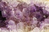 Beautiful Purple Amethyst Geode - Uruguay #87451-1